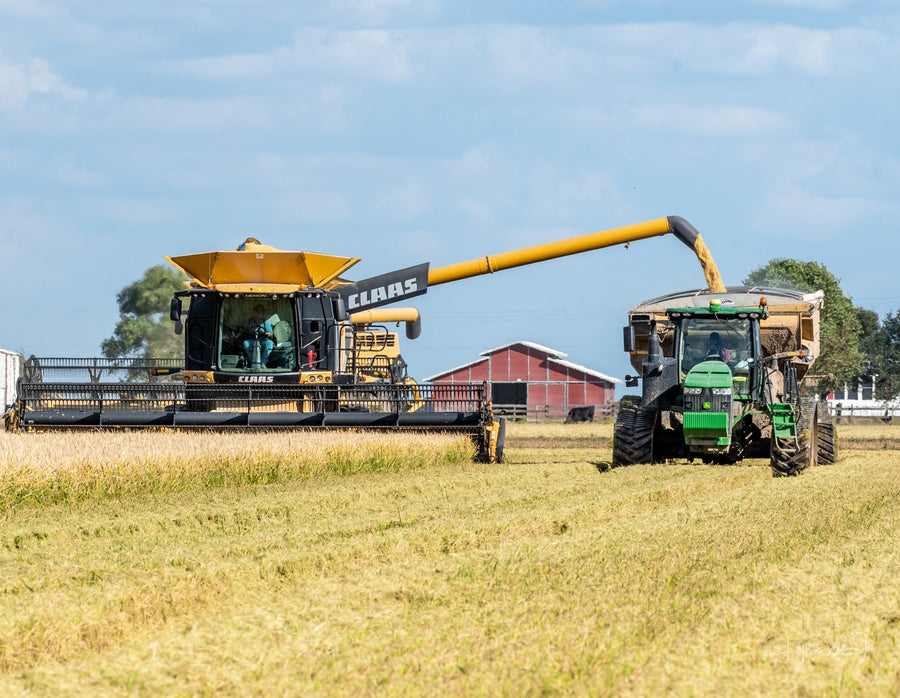 About Us – Honestly Texas Rice